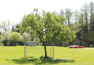 Un árbol crece a través de una portería en un campo verde en Kano & Kamp Aqua Hema-Blokhutten Beieren camping.
