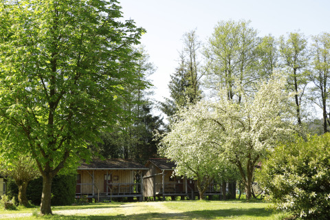 Glamping met blokhutten tussen groene bomen bij Kano & Kamp Aqua Hema in Beieren, natuurlijke omgeving.