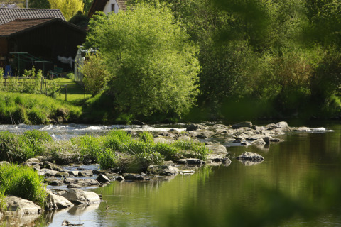 Rivière avec rochers et verdure près de Kano & Kamp Aqua Hema- Blokhutten Beieren, hébergement glamping.