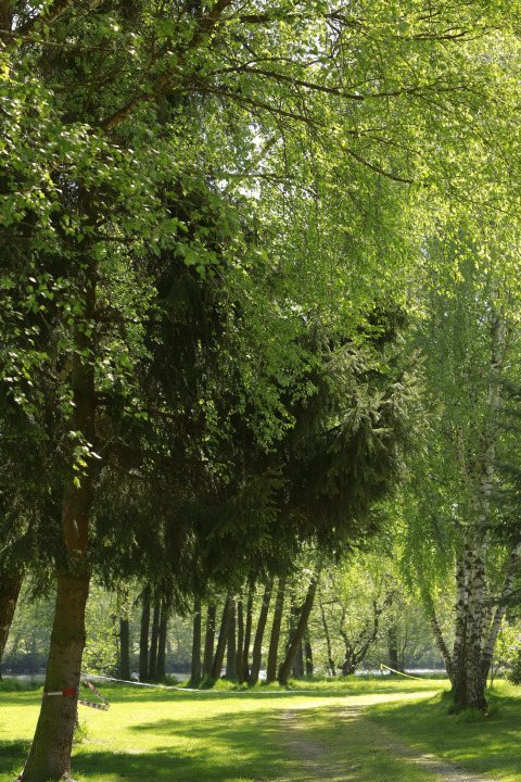 Pad bij Kano & Kamp Aqua Hema- Blokhutten Beieren, omgeven door groene bomen en zonnig licht.