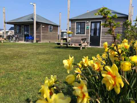 Due accoglienti baite in legno e fiori gialli al Camping Duinzoomhoeve – Hooiberghut glamping in Olanda Settentrionale.