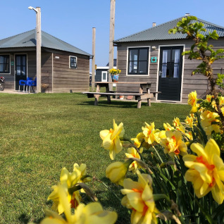 To hyggelige hytter på græsplæne med forårsblomster foran på Camping Duinzoomhoeve – Hooiberghut glamping i Holland.
