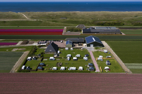 Luftfoto af Camping Duinzoomhoeve – Hooiberghut glamping i Noord-Holland tæt ved havet og farverige marker.