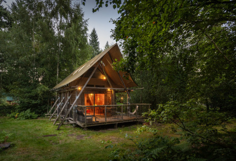 Alloggio glamping presso Village Huttopia Senonches - Glamping Val de Loire immerso in una foresta verde.