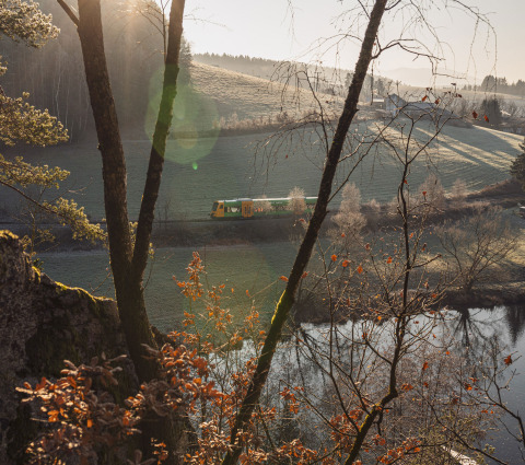 Un tren cruza el paisaje boscoso cerca de Adventure Camp Schnitzmühle - Tiny House Beierse Woud.
