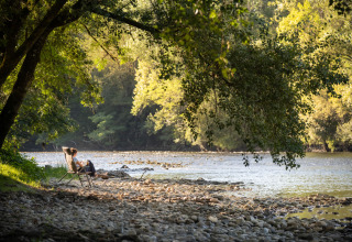 Relax lungo il fiume a Huttopia Beaulieu sur Dordogne – Glamping Dordogne, immersi nella natura rigogliosa.