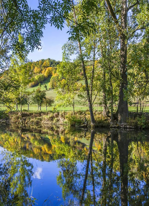 Vue paisible du Camping Schwabenmühle - Wijnvaten Baden-Württemberg avec arbres et étang reflétant la nature.