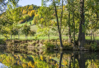 Vue paisible du Camping Schwabenmühle - Wijnvaten Baden-Württemberg avec arbres et étang reflétant la nature.