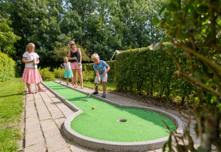 Familia jugando al minigolf al aire libre en Camping & Chaletparc De Uitwijk – Lodges Noord-Brabant en verano.