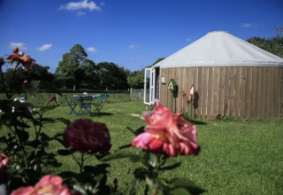 Glamping yurt at Camping La Ferme de Croas Men, set on a lush green field with pink flowers in the foreground.