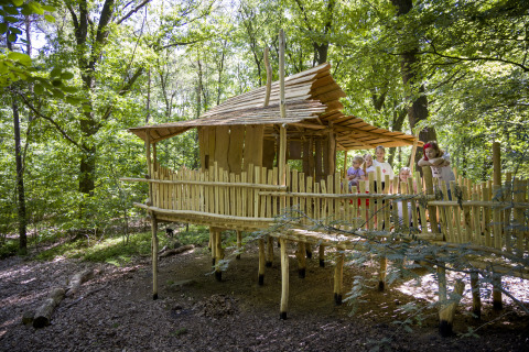 Children play on a wooden treehouse in the forest at Bio Vakantieoord - Glampingtenten Veluwe glamping site.