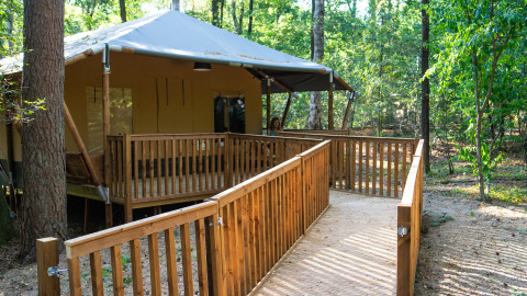 Tienda de glamping en Bio Vakantieoord - Glampingtenten Veluwe con rampa y terraza, rodeada de bosque verde.