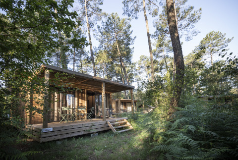 Glamping-Unterkunft bei Huttopia Landes Sud in Aquitaine, umgeben von hohen Bäumen und grüner Natur.