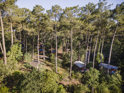 Glamping at 'Huttopia Landes Sud', cozy wooden cabins nestled in a pine forest setting in Aquitaine, France.