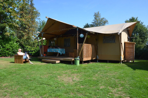Tienda safari Overizcht - Kleine Belties - Hardenberg, Overijssel, Países Bajos