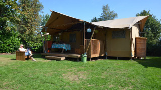 Tienda safari Overizcht - Kleine Belties - Hardenberg, Overijssel, Países Bajos