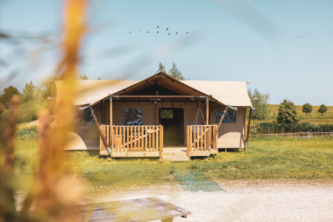 Safarilodge glamping op Vakantiepark IJsselhof in Noord-Holland, omgeven door grasveld en bomen.