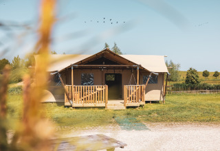 Alojamiento glamping tipo safarilodge en Vakantiepark IJsselhof, Noord-Holland, rodeado de césped y árboles.