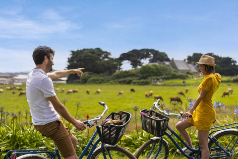 Stel fietst langs koeien in groene weide bij 'Camping Saint Pabu Plage - Glamping Bretagne' glamping accommodatie.