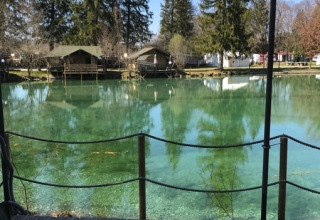 Zicht op heldere vijver en glamping hutjes bij Camping Ammertal - Stacaravans Beieren, tussen de bomen.