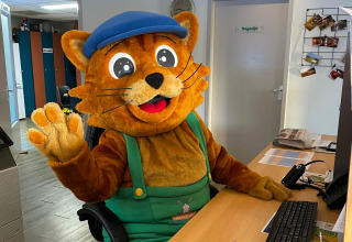 Kattenmascotte aan het bureau bij Vakantiepark De Oude Molen - Safaritent Gelderland, glampingverblijf.