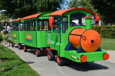 Kleurrijk toeristentreintje bij Vakantiepark De Oude Molen - Safaritent Gelderland, kinderen, groene omgeving.