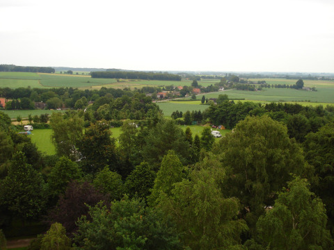 Udsigt over grønne marker og træer ved Vakantiepark De Oude Molen - Safaritent Gelderland campingplads.