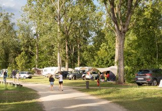 Campeggio con tende, roulotte e auto sotto alberi al Huttopia Les Chateaux - Glamping Val de Loire.