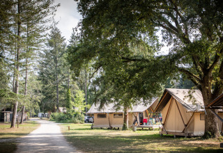 Glamping-Unterkünfte bei Huttopia Les Châteaux mit Safarizelten unter Bäumen im Val de Loire, Frankreich.