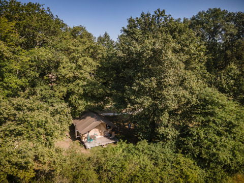 Glamping-Zelt versteckt im grünen Wald bei Huttopia Les Châteaux - Glamping Val de Loire, Frankreich.