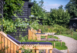 Vista exterior de alojamientos glamping en Erfgoed Bossem - Sterrenkubussen Twente, rodeados de vegetación y bancos.