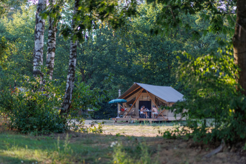 Glamping op Camping Huttopia De Meinweg in Limburg, Nederland, met mensen bij een safaritent in het bos.