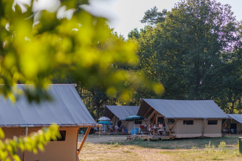 Glamping-område ved Camping Huttopia De Meinweg i Limburg, Holland, med luksustelte og natur.