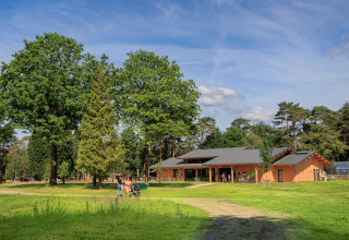 Camping Huttopia De Meinweg - Glamping Limburg met houten lodge, groene bomen en ontspannen sfeer.