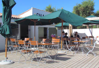 Outdoor patio with wooden chairs and green umbrellas at Huttopia Côte Sauvage - Ile de Ré glamping site.
