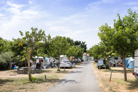 Campingplatz bei Huttopia Côte Sauvage - Ile de Ré, mit Wohnwagen, Zelten und Bäumen im Sommer.