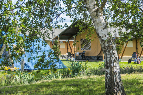 Glamping in een safaritent bij Boerderij De Boerinn in Utrecht, Nederland, omringd door bomen en groen.