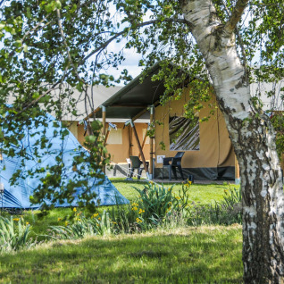 Glamping in een safaritent bij Boerderij De Boerinn in Utrecht, Nederland, omringd door bomen en groen.