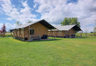 Dos tiendas safari en césped verde en Boerderij De Boerinn – Safaritenten Utrecht, bajo cielo azul.