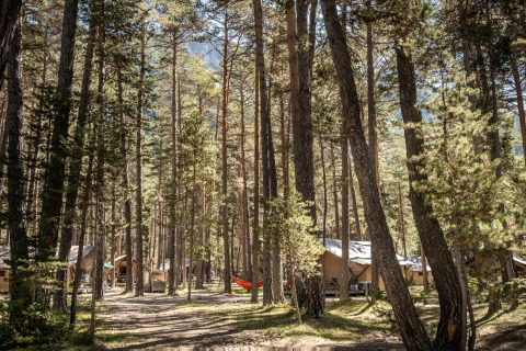 Glamping-Unterkünfte bei Huttopia La Clarée im Hautes-Alpes, Zelte in einem sonnigen Kiefernwald.