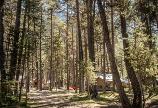 Glamping bij Huttopia La Clarée in de Hautes-Alpes, tenten staan verspreid tussen hoge dennenbomen.