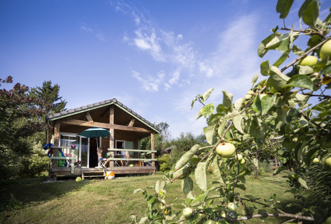 Hébergement glamping Huttopia Lac d'Aiguebelette en Savoie, cabane bois et pommier sous un ciel bleu.