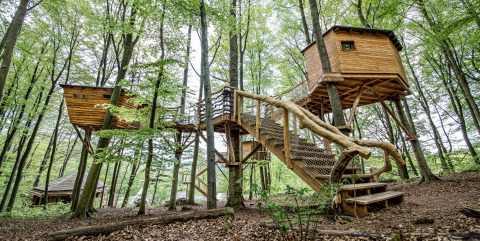 Robins Nest Baumhausherberge in Hessen bietet komfortable Baumhäuser als Glamping-Unterkunft mitten im Wald.