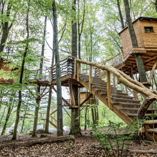 Robins Nest treehouse hostel in Hessen, Germany, features cozy wooden glamping lodges elevated among green trees.