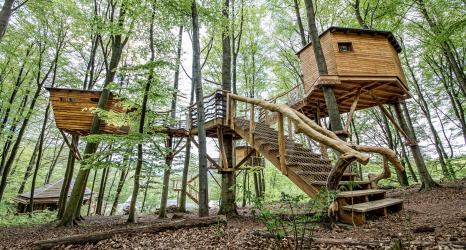 Robins Nest Baumhausherberge in Hessen bietet komfortable Baumhäuser als Glamping-Unterkunft mitten im Wald.