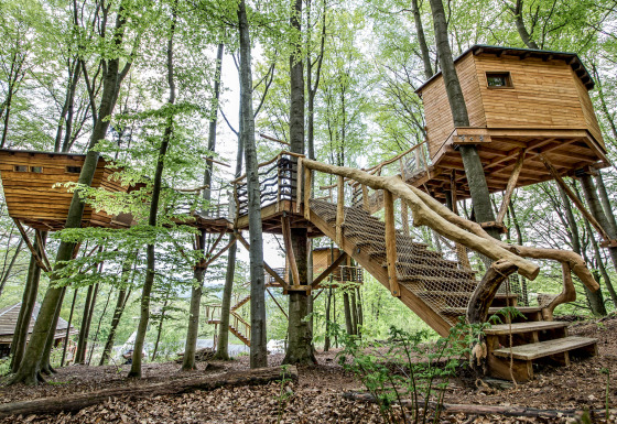 Robins Nest Baumhausherberge in Hessen bietet komfortable Baumhäuser als Glamping-Unterkunft mitten im Wald.