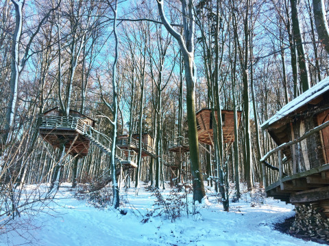 Boomhutten op palen in een besneeuwd bos, glamping accommodatie Baumhausherberge Robins Nest in Hessen.