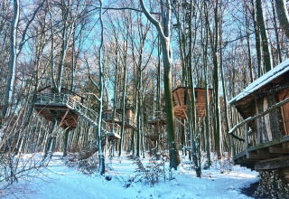 Cabanes dans les arbres sur pilotis entourées de neige, glamping à Baumhausherberge Robins Nest en forêt.
