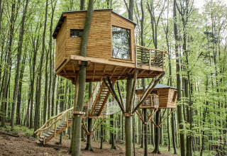Two charming treehouse cabins in a lush forest, part of glamping at Baumhausherberge Robins Nest in Hessen.