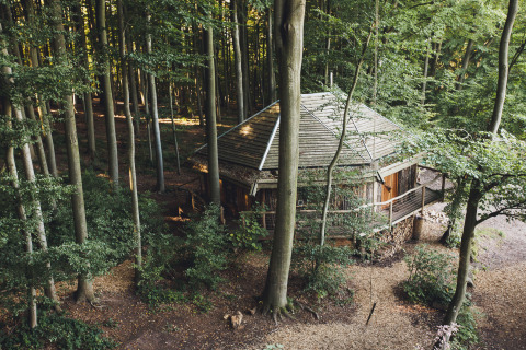 Capanna ottagonale in legno immersa nella foresta, glamping Baumhausherberge Robins Nest in Assia, Germania.